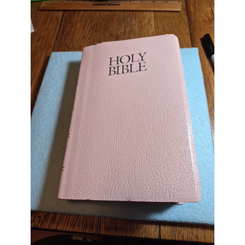 NIV Holy Bible Pink Leather look Zondervan New International Version